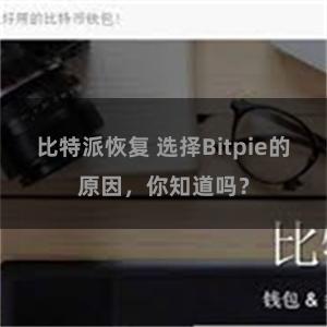 比特派恢复 选择Bitpie的原因，你知道吗？