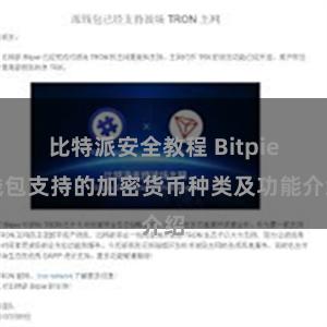 比特派安全教程 Bitpie钱包支持的加密货币种类及功能介绍