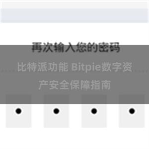 比特派功能 Bitpie数字资产安全保障指南