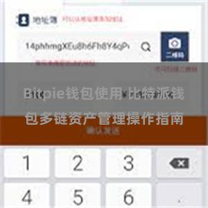 Bitpie钱包使用 比特派钱包多链资产管理操作指南