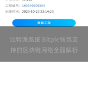 比特派系统 Bitpie钱包支持的区块链网络全面解析