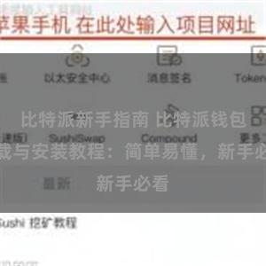 比特派新手指南 比特派钱包下载与安装教程：简单易懂，新手必看
