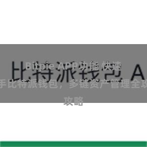 Bitpie APP功能 快速上手比特派钱包，多链资产管理全攻略