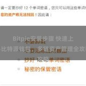 Bitpie安装步骤 快速上手比特派钱包，多链资产管理全攻略