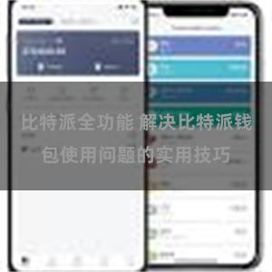 比特派全功能 解决比特派钱包使用问题的实用技巧