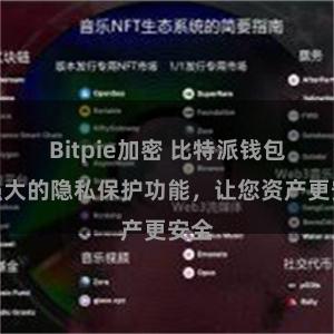 Bitpie加密 比特派钱包：强大的隐私保护功能，让您资产更安全