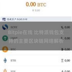 Bitpie在线 比特派钱包支持的主要区块链网络解析