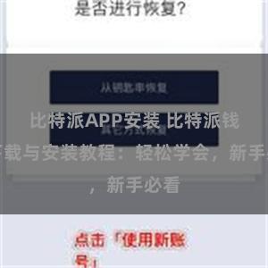 比特派APP安装 比特派钱包下载与安装教程：轻松学会，新手必看