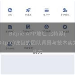 Bitpie APP地址 比特派(Bitpie)钱包的团队背景与技术实力