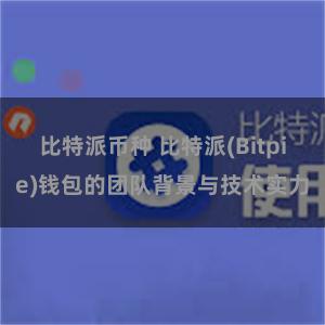 比特派币种 比特派(Bitpie)钱包的团队背景与技术实力