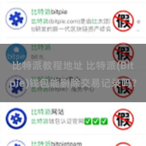 比特派教程地址 比特派(Bitpie)钱包能删除交易记录吗？