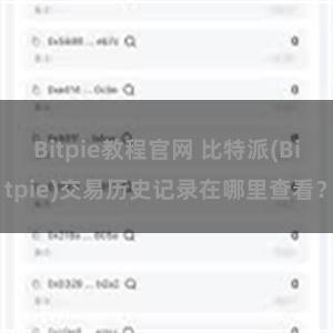 Bitpie教程官网 比特派(Bitpie)交易历史记录在哪里查看？