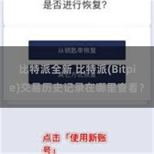 比特派全新 比特派(Bitpie)交易历史记录在哪里查看？