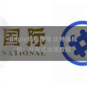 Bitpie钱包使用 比特派钱包：分布式治理教程