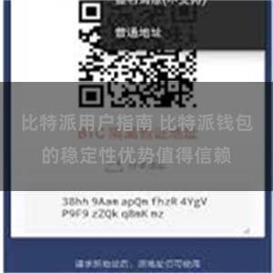 比特派用户指南 比特派钱包的稳定性优势值得信赖