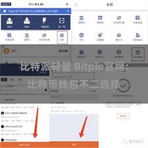 比特派轻量 Bitpie官网：比特币钱包不二选择