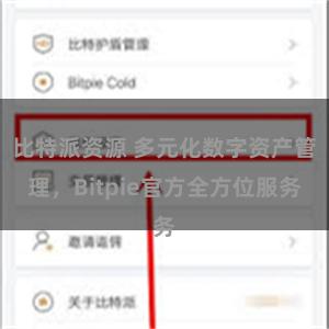 比特派资源 多元化数字资产管理，Bitpie官方全方位服务
