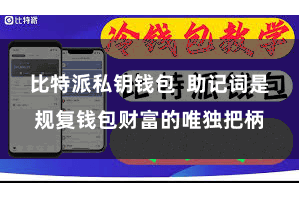 比特派私钥钱包  助记词是规复钱包财富的唯独把柄