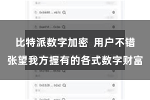 比特派数字加密  用户不错张望我方握有的各式数字财富