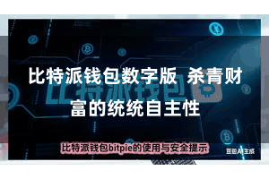 比特派钱包数字版  杀青财富的统统自主性