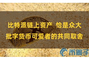 比特派链上资产  恰是众大批字货币可爱者的共同取舍