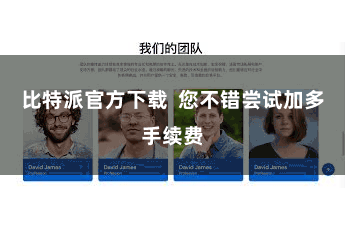 比特派官方下载  您不错尝试加多手续费